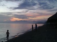 حنيفة بارديلو