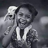 فوضويه المزاج