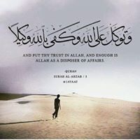 Mostafa Saieed