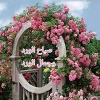 Raed Adhami