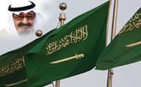احمد بدر