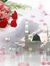 Nasim F...