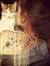 Hiba Mawed