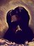 Ankit R...