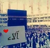 Allaa Mostafa Safwat