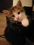 Andreea...
