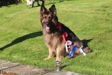 Amelia-Jayne Cornick-Dingle