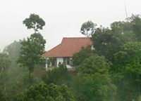 Mygardenofeden Wayanad