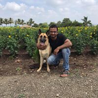 Vipul Hadawale