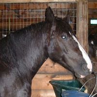 Lorrie Tate Ashcroft