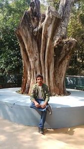 Brajesh Karn