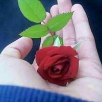 Faisal mughal