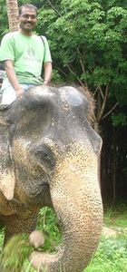 Senthil Krishnamoorthy