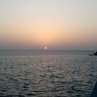 Layla Aouragh