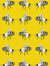 Box of Bees