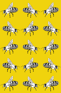 Box of Bees