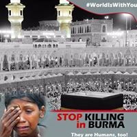 أ.نجلاء سلمان