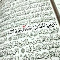 اسامة الملاح