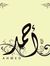 Ahmed G...