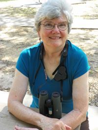 Carol Dodd