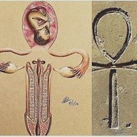 هاني المصري