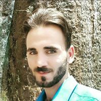 حسام الشاعر