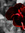 Faith (FaithNichola) | 2 comments