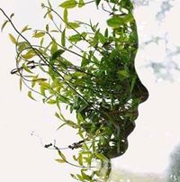 Г. Саандарь