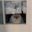 Don