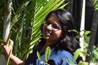 Urvee Chikhalikar