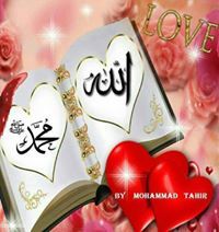 Afza Stroonkkofdream