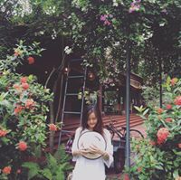 Anh Vu