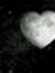 Rawan G...