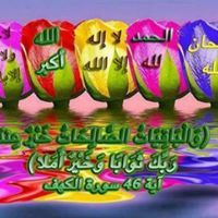 ابوعمرخيري الشوادفي البهواشي