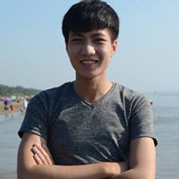 Việt Anh