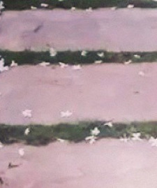 حَسناء الشّام