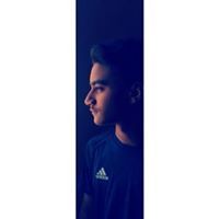 Amr Mosalam