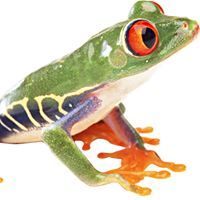 Илиян Митов