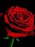 Ahmed S...
