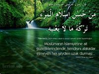 اسلام الملاح