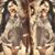 Sheetal Yadav