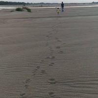 praveen s