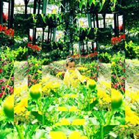 Daliahsari Abd Rahim