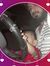 Abdul R...