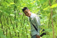 Hieu Do