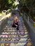 Haley King