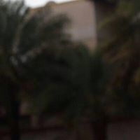 عبدالوهاب مالك