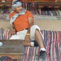 أنور العامري