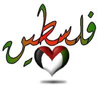 Mohamed Marashdeh