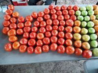 Deborah Produce